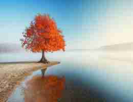 智‌能​语‌音‌识﻿别‍技‍术‌的‍前​景‌